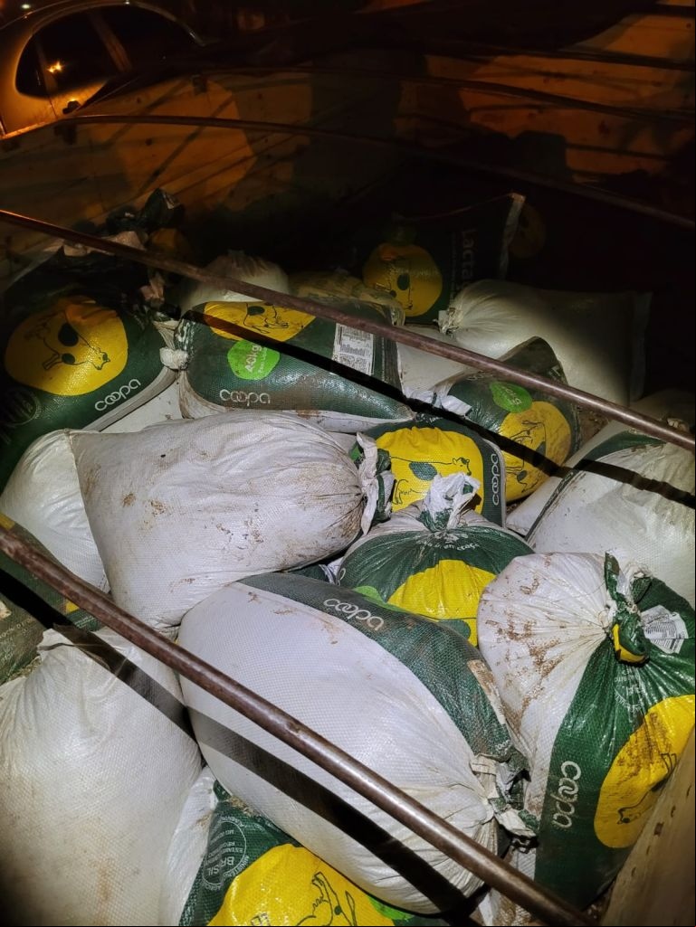 Feed do PatosAgora | Patos Agora - A notícia no seu tempo - 