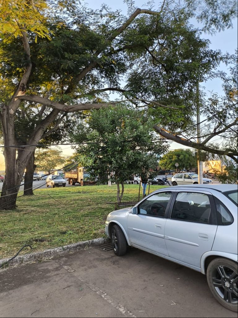 Bombeiros isolam área de risco após queda de galho sobre rede elétrica no CEASA de Patos de Minas | Patos Agora - A notícia no seu tempo - 