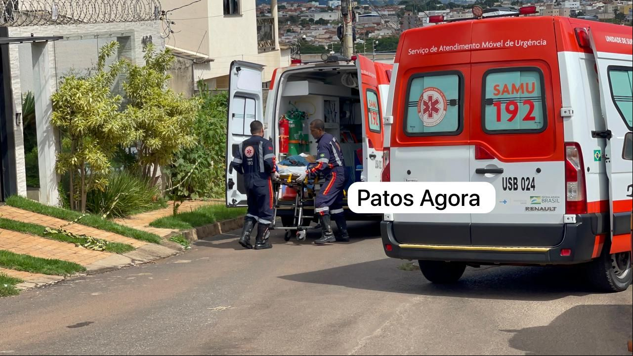 Feed do PatosAgora