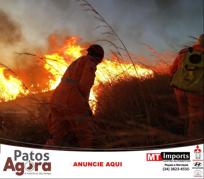 De perto a gente entende o trabalho em um incêndio em vegetação