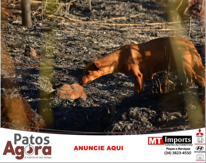 O choro de uma mãe que perde seus filhos em meio a uma tragédia ambiental
